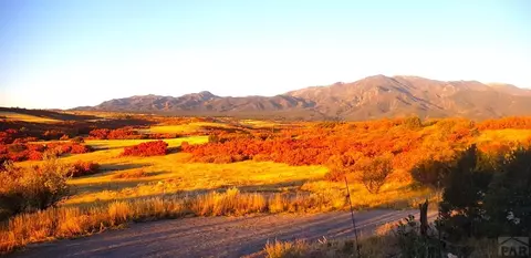 10500 Dodge Rd, Rye, CO 81069 photo 30