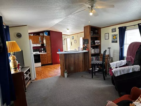 306 E 1st St, Hasty, CO 81044 photo 7