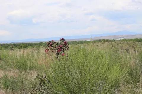 735 E 35th Ln, Pueblo, CO 81006