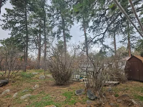 2074 Main St, Rye, CO 81069 photo 2