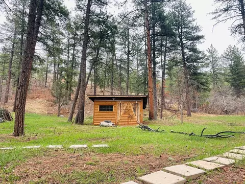 8908 S Pine Dr, Beulah, CO 81023 photo 39