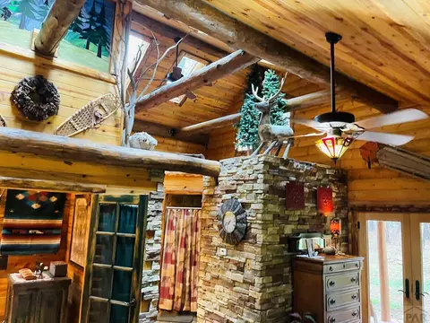 8908 S Pine Dr, Beulah, CO 81023 photo 45