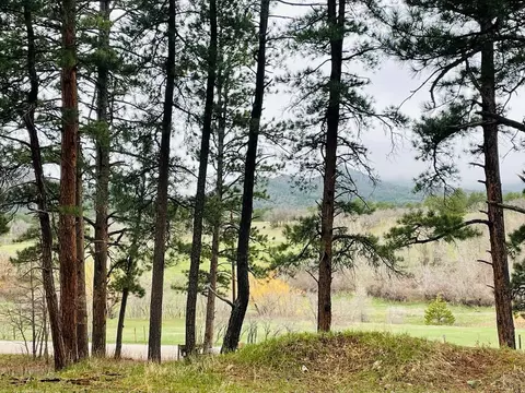 8908 S Pine Dr, Beulah, CO 81023 photo 30
