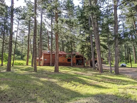 8908 S Pine Dr, Beulah, CO 81023 photo 17