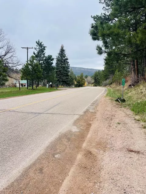 8908 S Pine Dr, Beulah, CO 81023 photo 34