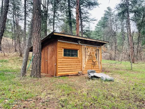 8908 S Pine Dr, Beulah, CO 81023 photo 38