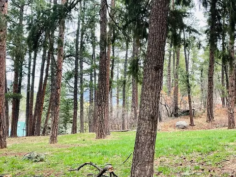 8908 S Pine Dr, Beulah, CO 81023 photo 31
