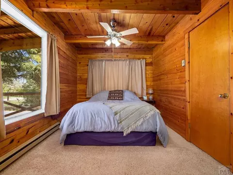2128 Main St, Rye, CO 81069 photo 10