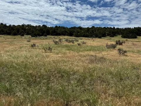 tbd Badger Rd, Walsenburg, CO 81089