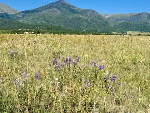 5151 County Rd 160, Westcliffe, CO 81252
