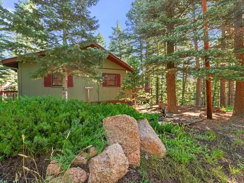 78 St Charles Dr, Rye, CO 81069 photo 3