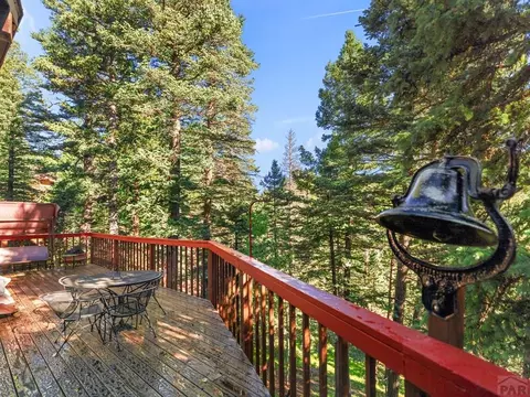 78 St Charles Dr, Rye, CO 81069 photo 9