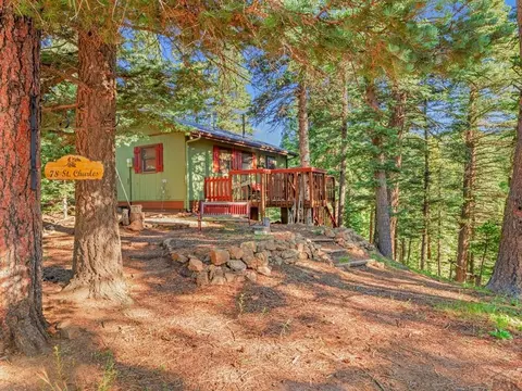 78 St Charles Dr, Rye, CO 81069 photo 4