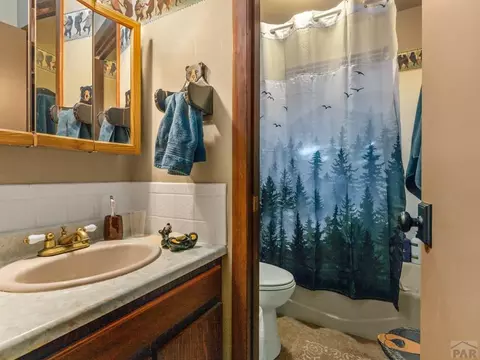 78 St Charles Dr, Rye, CO 81069 photo 25