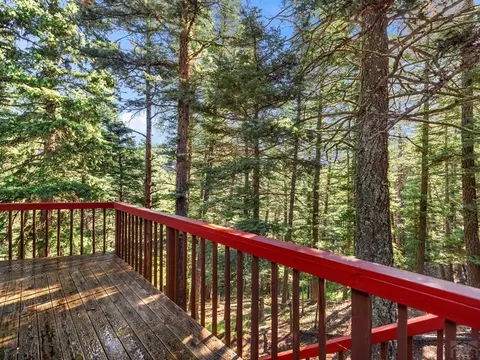 78 St Charles Dr, Rye, CO 81069 photo 8