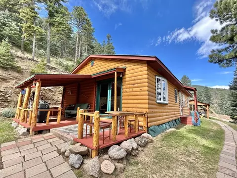 8294 William Dr, Rye, CO 81069 photo 21