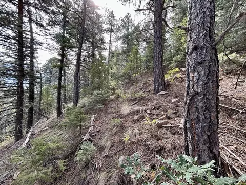 8294 William Dr, Rye, CO 81069 photo 37