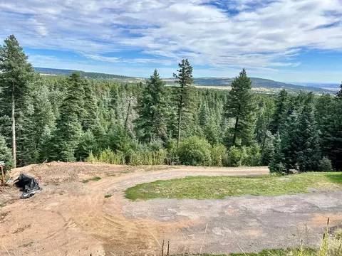 8294 William Dr, Rye, CO 81069 photo 35