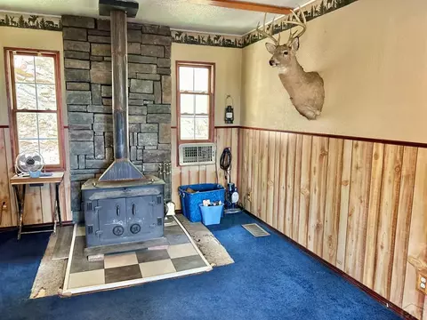 8294 William Dr, Rye, CO 81069 photo 17