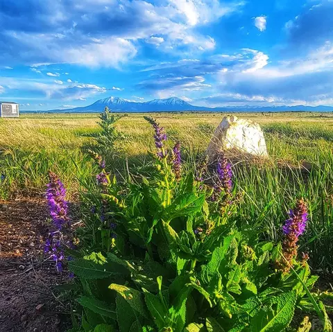 tbd Chicosa Dr, Walsenburg, CO 81089