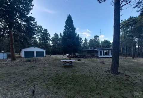 8165 Pine Dr, Rye, CO 81069 photo 3