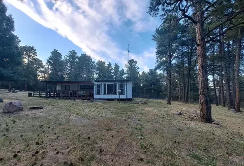 8165 Pine Dr, Rye, CO 81069 photo 20