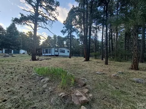 8165 Pine Dr, Rye, CO 81069 photo 21