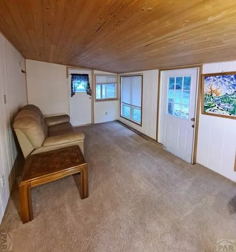 8165 Pine Dr, Rye, CO 81069 photo 9