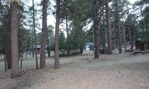 8165 Pine Dr, Rye, CO 81069 photo 31