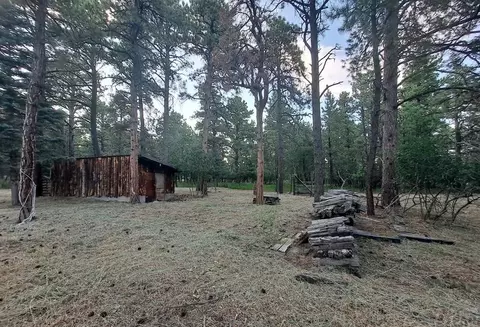 8165 Pine Dr, Rye, CO 81069 photo 25