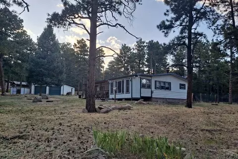 8165 Pine Dr, Rye, CO 81069 photo 22