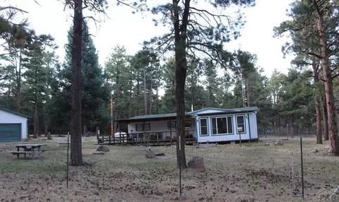 8165 Pine Dr, Rye, CO 81069 photo 41