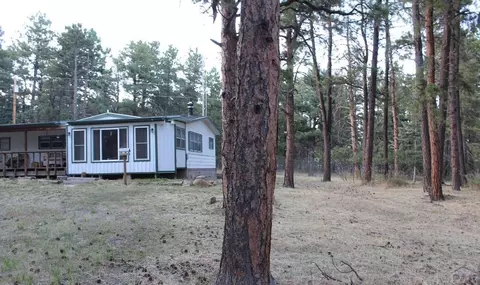 8165 Pine Dr, Rye, CO 81069 photo 39