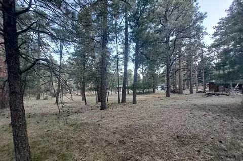 8165 Pine Dr, Rye, CO 81069 photo 23