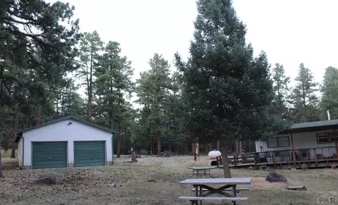 8165 Pine Dr, Rye, CO 81069 photo 37