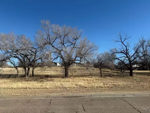 lot S 45 W Terrace Dr, Lamar, CO 81052