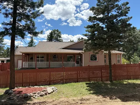 8172 Birch Dr, Rye, CO 81069 photo 1