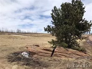  1812-15 Forbes Park Rd, Fort Garland, CO 81133 photo 4