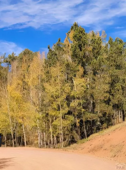 864 Wellington Dr, Cripple Creek, CO 80813