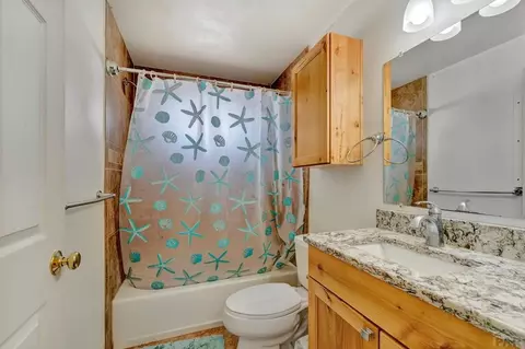 Bath - 730 Peakview Dr, Rye, CO 81069 photo 8 of 8