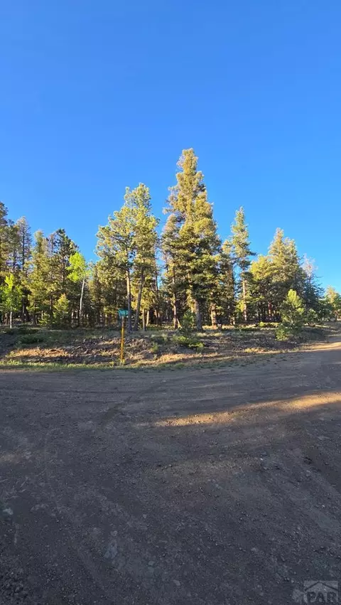 tbd Chubb Ct, Buena Vista, CO 81211