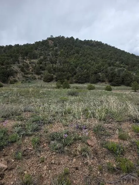 8099 County Rd 28, Cotopaxi, CO 81223