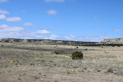 tbd Locomotive Ct, Rye, CO 81069