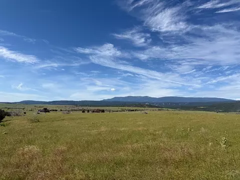 lot14 Good Pasture Dr, Beulah, CO 81023