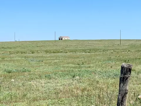 9525 Wolfenberger Rd, Rye, CO 81069 photo 10