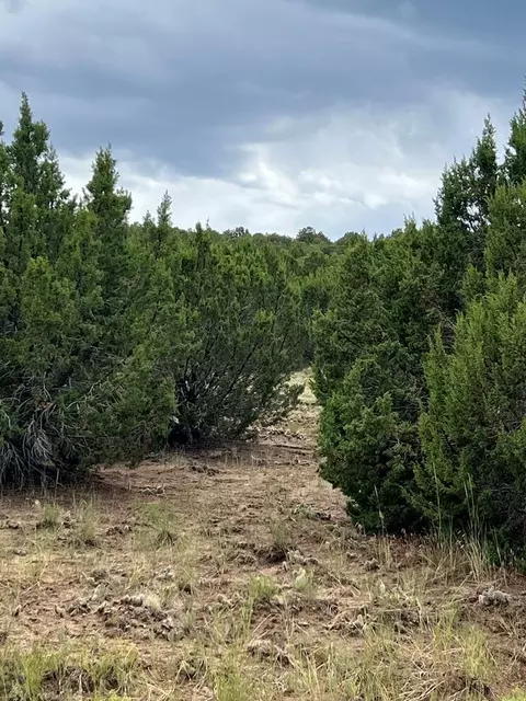 0 Sunrise Dr, Walsenburg, CO 81089