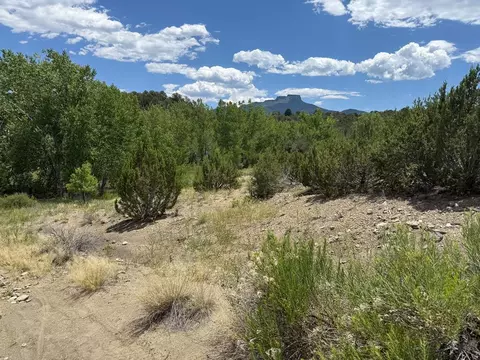 tbd Santa Fe Trl, Trinidad, CO 81082