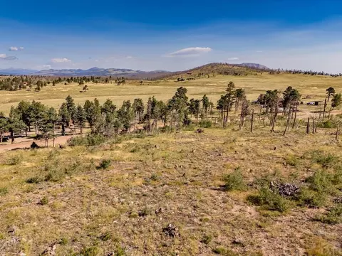 lot2124 Sigler Dr, Fort Garland, CO 81133