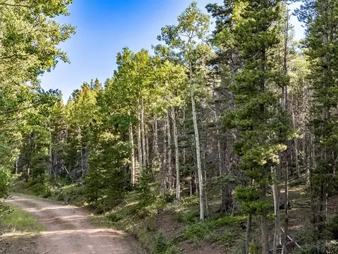 lot3231 Zipf Ln, Fort Garland, CO 81133