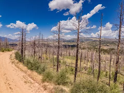 lot459 Mulligan, Fort Garland, CO 81133